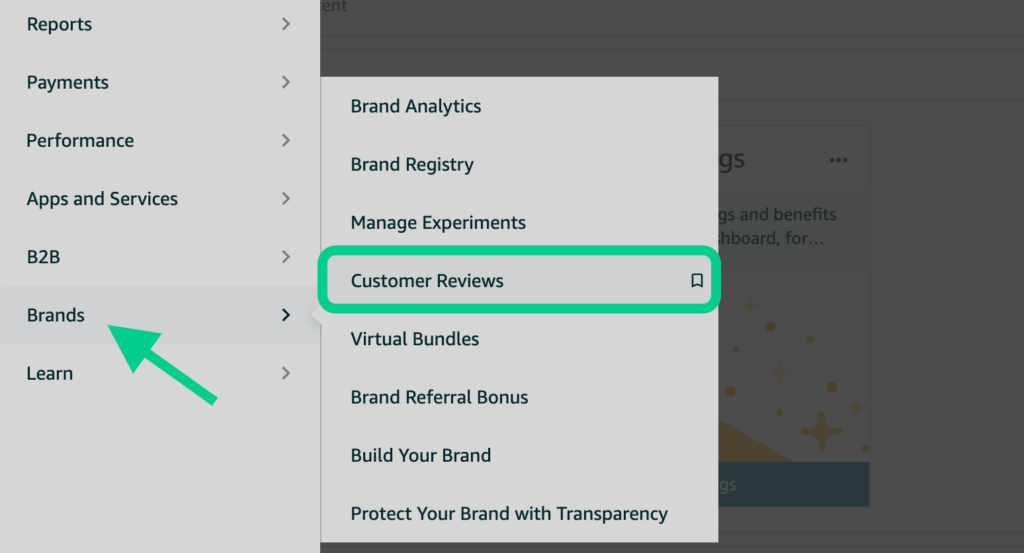 Navigation pane in Amazon Seller Central pointing to Customer Reviews.