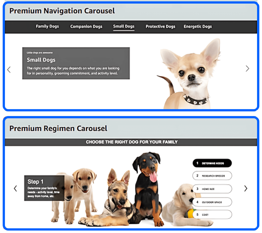 Screenshot of Amazon A+ Content featuring premium navigation and regimen carousels.